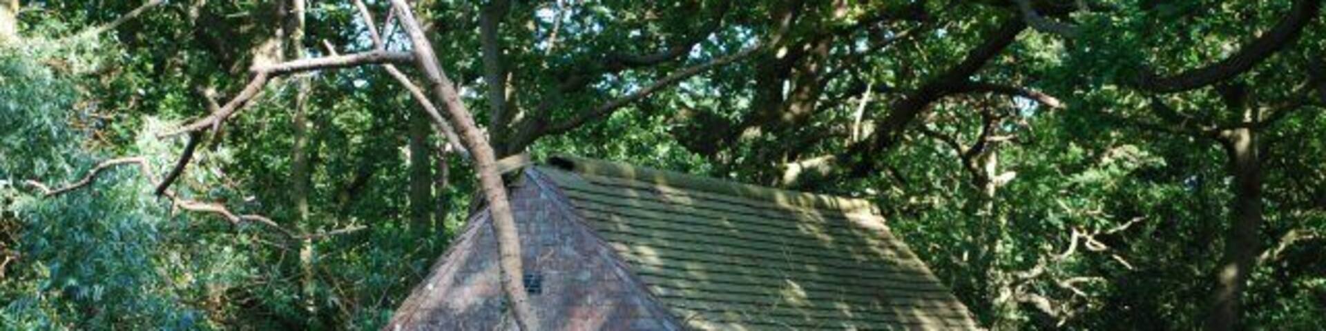 Old brick hut An old brick hut in Postle's Plantation near Hickling, Norfolk