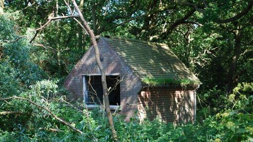 Old brick hut An old brick hut in Postle's Plantation near Hickling, Norfolk
