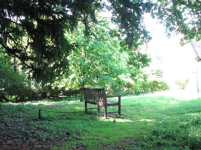 A secure bench. This wooden bench in St Remigius' > 1351405 churchyard is chained to a post so that it cannot be removed.
