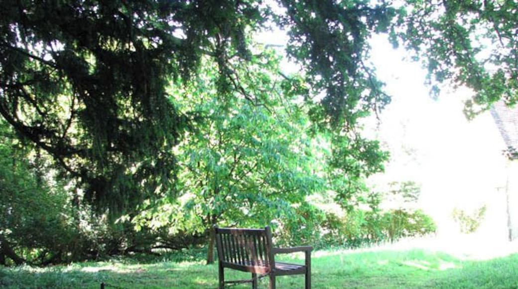 A secure bench. This wooden bench in St Remigius' > 1351405 churchyard is chained to a post so that it cannot be removed.