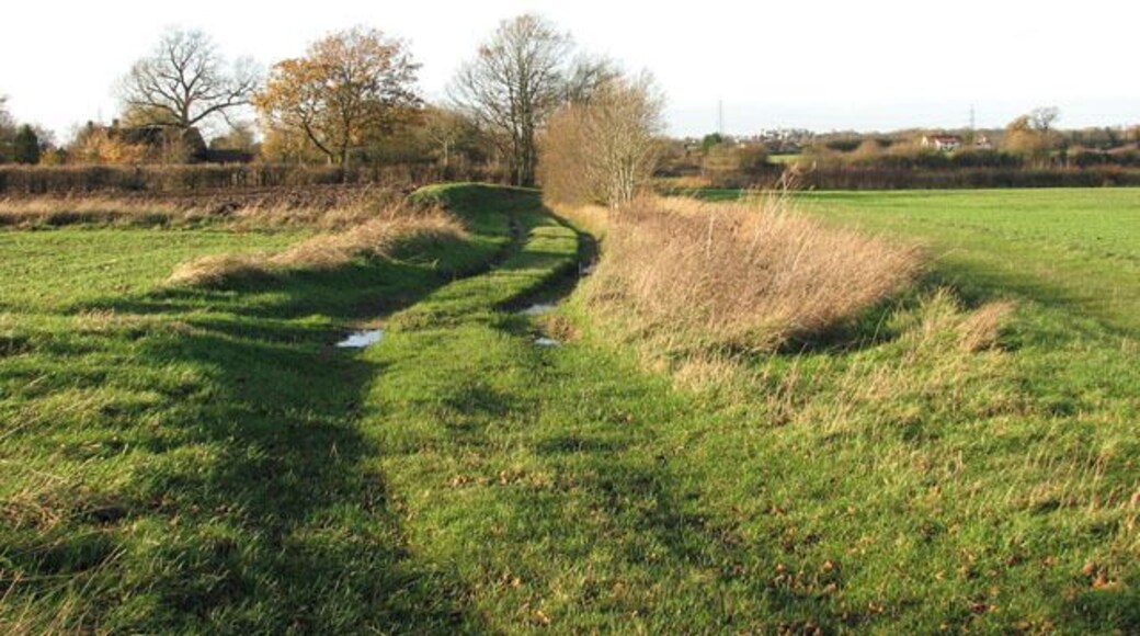 Approaching School Road on a meandering lane. This public footpath starts by a former crossing cottage on the Waveney Valley Line > 1595953 - 1595964 west of the A140 (Norwich Road), leading westwards to Tivetshall St Margaret.