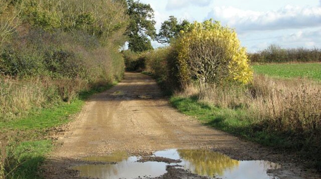 Access road to College Farm This access road serves as a public footpath leading to Maypole Green further to the east.