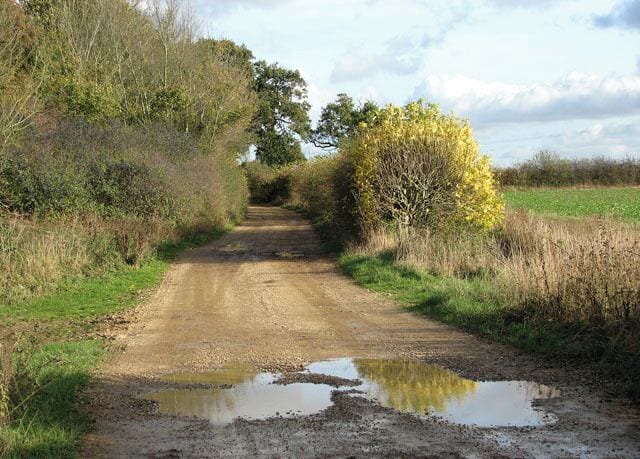 A muddy rural road with puddles, surrounded by vegetation and trees.