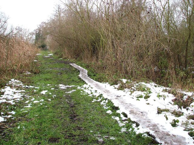 Ice-coated boardwalk This footpath leads alongside a drain that empties into the River Yare, a short distance further to the north. The ground here is often quite soggy and the boardwalk helps getting to the river without sinking in the mud.