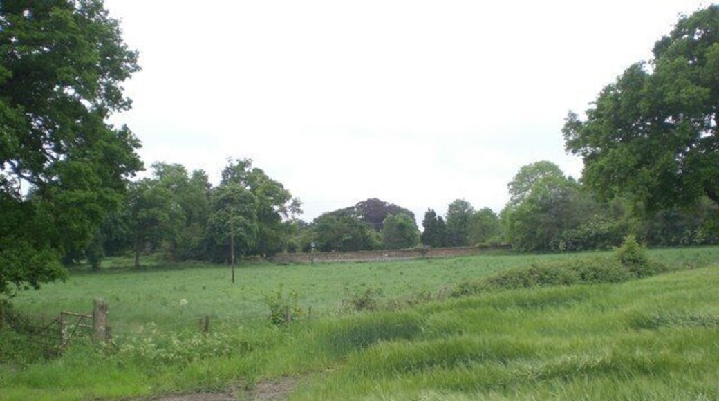 Towards Sprowston Lodge From north western edge of Sprowston Wood