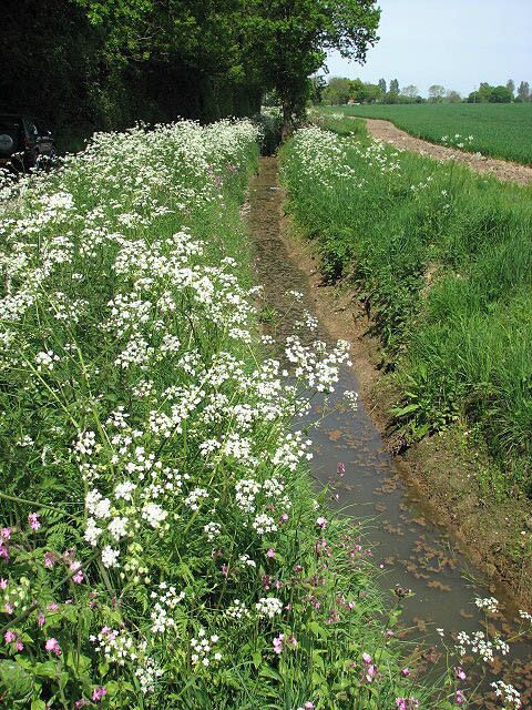 Ditch beside High Road