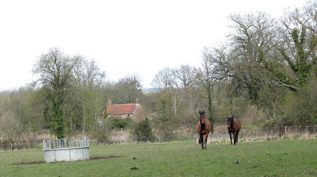 Horse pasture The house seen in the background is located on School Road.