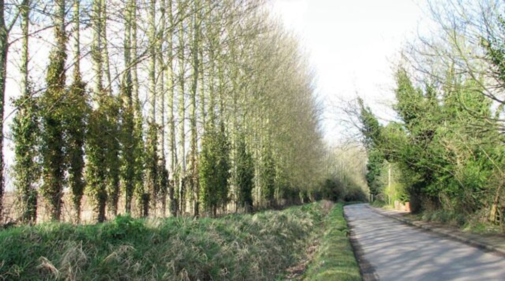 View north along West Lane The tall poplars seen at left are growing on a field boundary. Horsham and Newton St Faith are situated about 6 miles north of Norwich. The church of SS Mary and Andrew > https://www.geograph.org.uk/photo/1191886 located in the grounds of a ruined 13th century priory, serves both Church of England and Methodist worshippers. There are two Post Offices (one serving each village), one restaurant and two public hostelries. For more information and old photographs see http://www.st-faith.co.uk/
