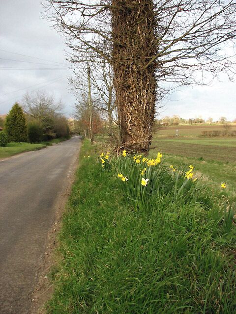 Looking NE along Stratton Road Stratton Road connects Stratton Strawless with Buxton.