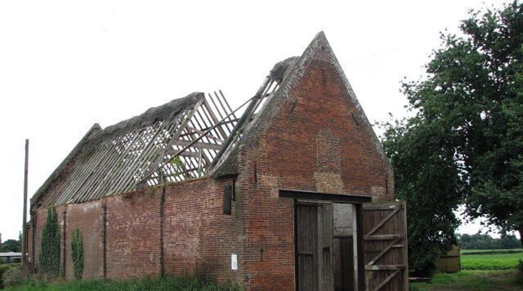 Roofless old red-brick barn. See also > 911164. Through the open door scaffolding and bundles of reeds, ready for thatching, could be glimpsed inside.