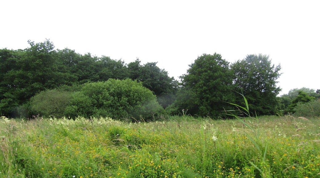 A view across the water meadow on Southrepps Common located within the hamlet of Lower Southrepps, Cromer, Norfolk