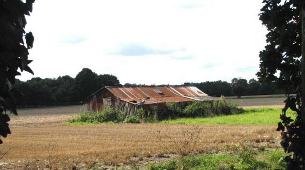 Farm shed in field Beside Aylsham Road.