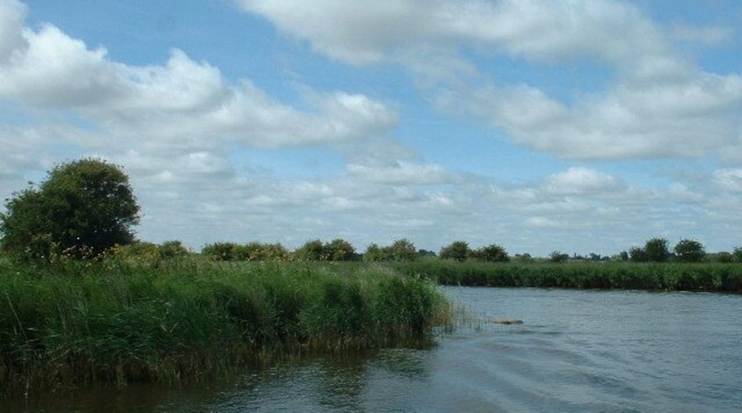 River Bure. Typical Broadland river scenery