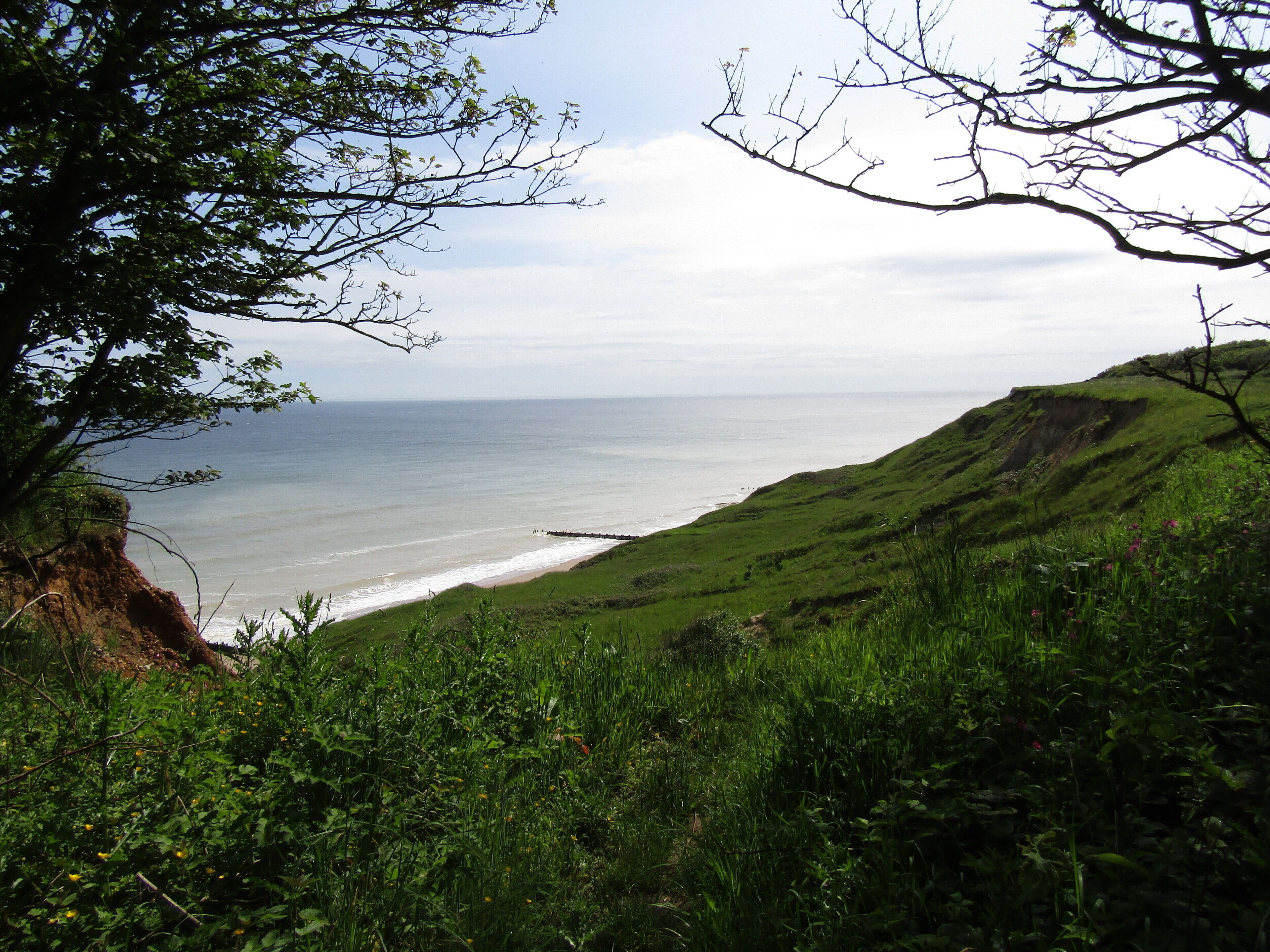 Looking eastwards down to Trimingham beach from the cliff top in the village of Trimingham, Norfolk, United Kingdom.