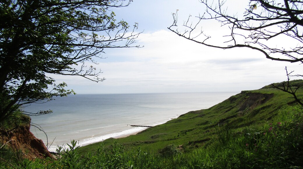 Looking eastwards down to Trimingham beach from the cliff top in the village of Trimingham, Norfolk, United Kingdom.