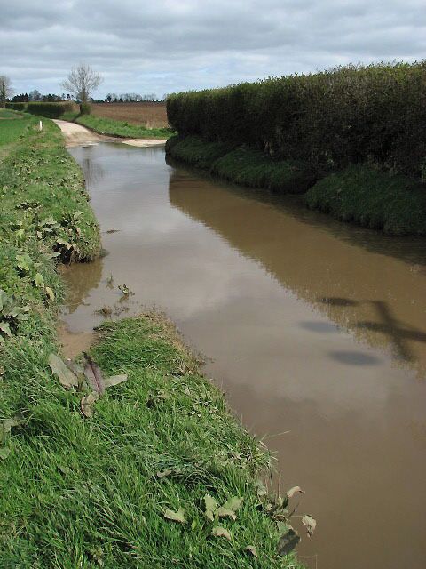 A blocked drain. This nameless road, presently flooded due to a blocked drain, leads past The Lodge; it connects Banningham Road in the south to Norwich Road further to the north, and to the village of Erpingham beyond. The junction seen at the end of the hedge (at right) is the > 768219.