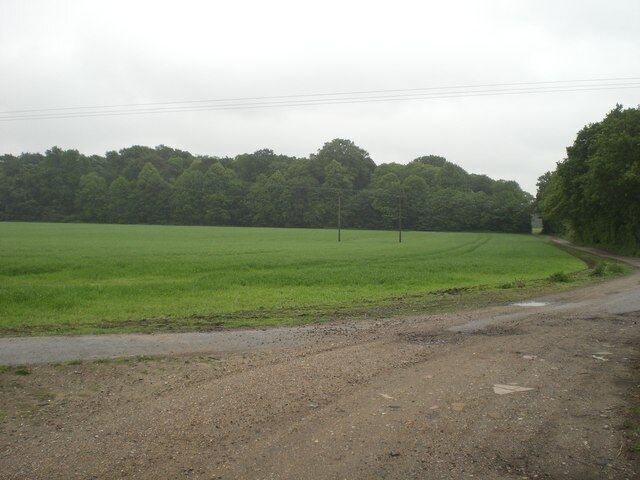 Eleven Acre Plantation, Salhouse