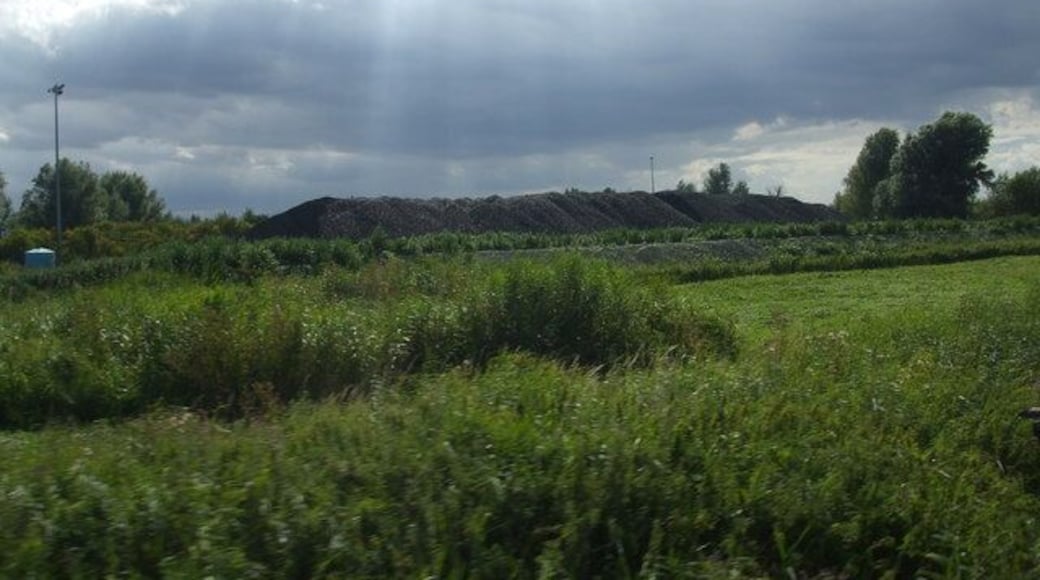 The Coal Pile A large coal pile to power Cantley Sugarbeet factory. All brought in by road which is madness as there is a rail line next to it.