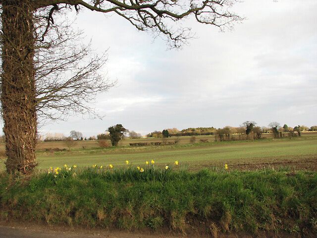 Field beside Stratton Road View southeast from Stratton Road towards Buxton Road, denoted by the line of trees seen in mid-distance. In the field beyond Buxton Road once stood the gallows, erected by Lord de Dudwik, owner of the Dudwick estate in the 12th century, who had been given the right to hang criminals by the King.