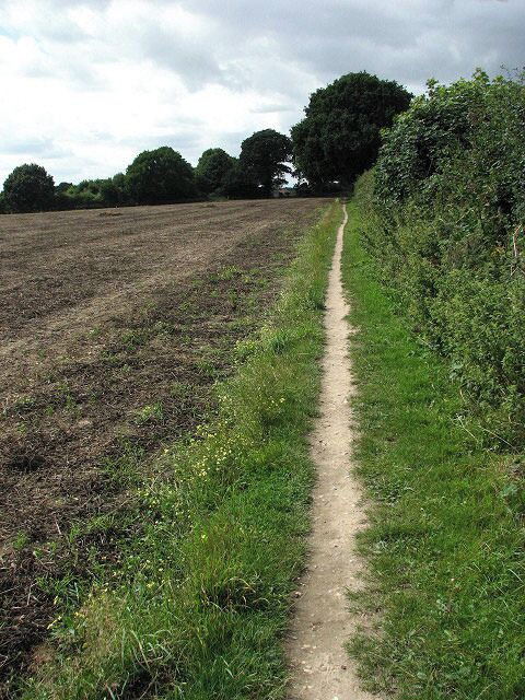 Path along field edge. Farm Hall Drive > 918039 which turns off Bell Lane and later turns into an unsurfaced track > 918047 has turned into a narrow path. It leads in westerly direction where it connects with Station Road, leading to Salhouse railway station > 918373.