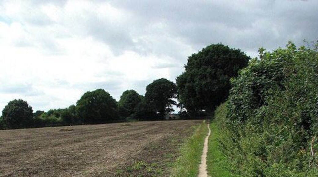 Path along field edge. Farm Hall Drive > 918039 which turns off Bell Lane and later turns into an unsurfaced track > 918047 has turned into a narrow path. It leads in westerly direction where it connects with Station Road, leading to Salhouse railway station > 918373.