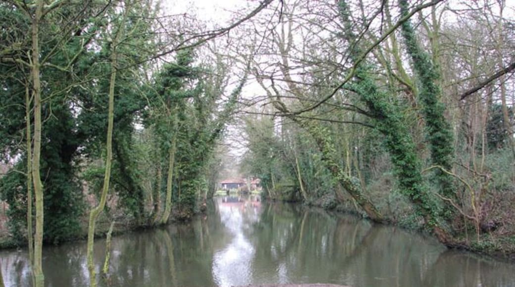 Seat by the end of the path This seat is situated where a drain which runs parallel with Whitlingham Lane empties into the River Yare, for the walker to enjoy the view before returning back. The path starts by the junction of Whitlingham Lane and Bracondale, opposite St Andrew's church > https://www.geograph.org.uk/photo/1670592. It leads in northerly direction, following the course of a drain which flows parallel with and empties into the River Yare. The meadow which the path traverses is bordered by Whitlingham Lane in the east. The lane can be accessed via stile and wooden steps > https://www.geograph.org.uk/photo/1671067.