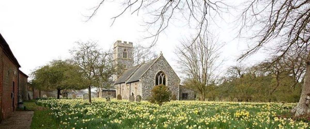 Une église entourée d’un champ de jonquilles.