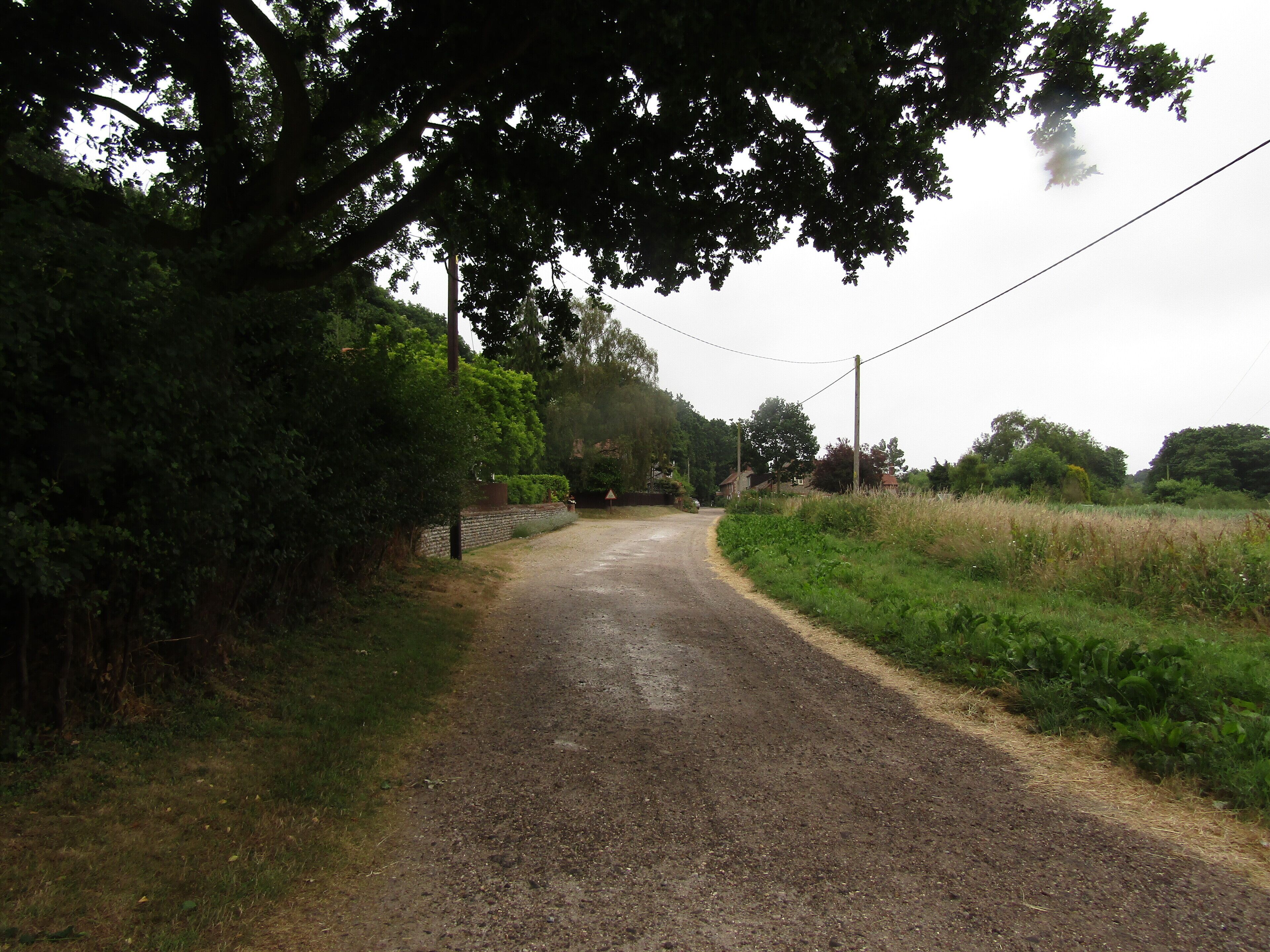 Looking south east along Warren Road within the hamlet of Lower Southrepps, Cromer, Norfolk