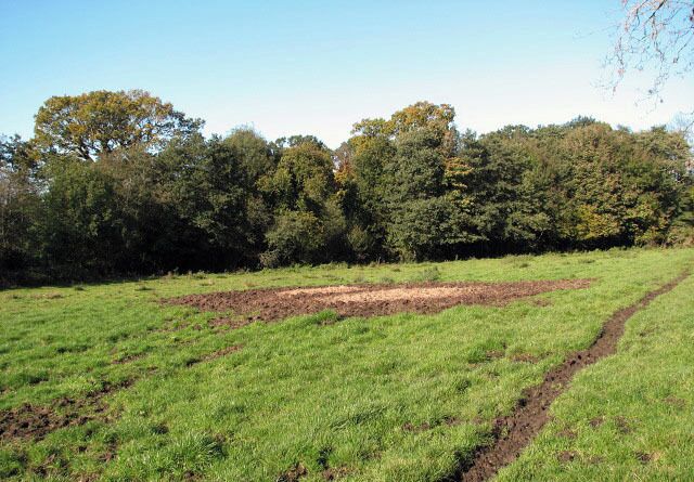 Path through cattle pasture. The churned up ground with a covering of straw in its centre, seen in mid-distance, marks the spot where two cattle feed rings used to stand during summer. The public footpath traversing this pasture (seen at right) starts by the end of New Road, an area known as Journey's End > 554082. It can be followed in northerly or in westerly direction - it leads over drains, through cattle pastures, always roughly following the course of the River Bure.