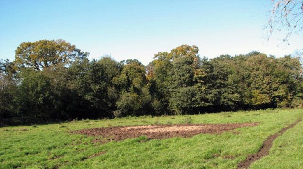 Path through cattle pasture. The churned up ground with a covering of straw in its centre, seen in mid-distance, marks the spot where two cattle feed rings used to stand during summer. The public footpath traversing this pasture (seen at right) starts by the end of New Road, an area known as Journey's End > 554082. It can be followed in northerly or in westerly direction - it leads over drains, through cattle pastures, always roughly following the course of the River Bure.