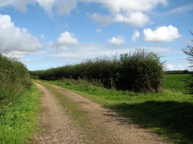 View north on Holly Lane