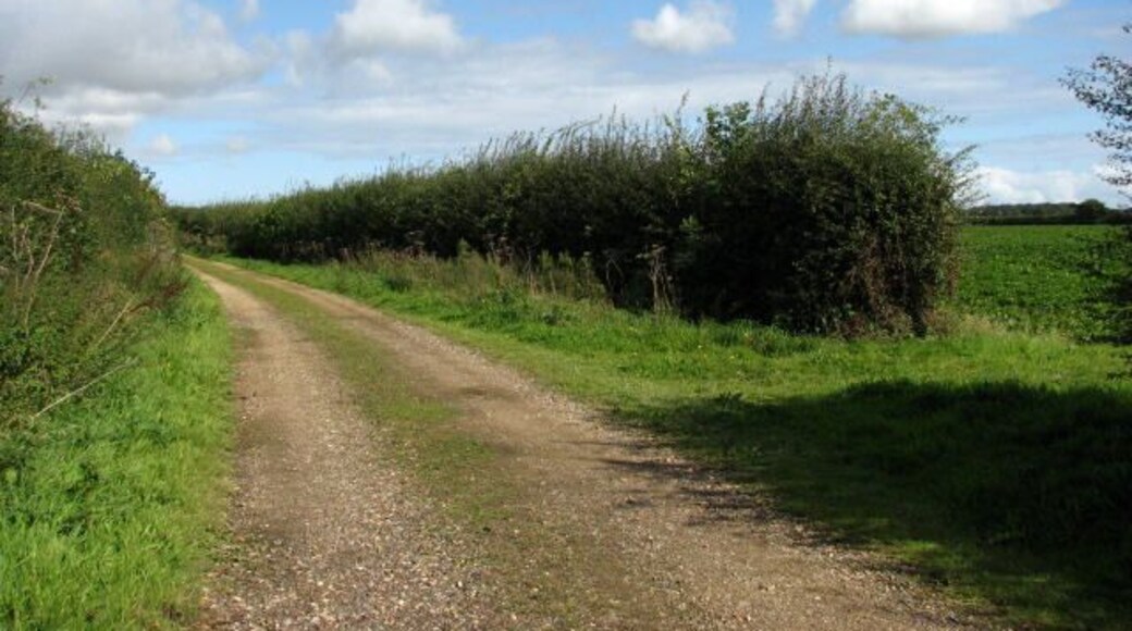 View north on Holly Lane