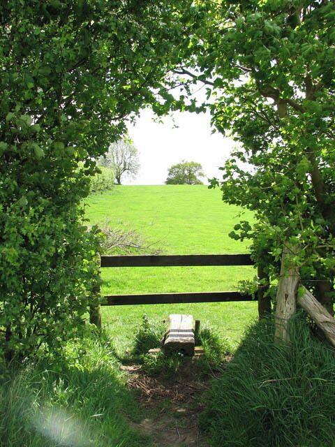 Stile into cattle pasture The Wherrymans Way leads past here. The Wherrymans Way is a 35-mile long distance footpath following the route of the Broads trading wherries between Norwich and Great Yarmouth. The route takes its name from the wherry  a large cargo-carrying barge whose black sails used to be a common sight on these waters. Ten circular village walks branch off this path along the way.