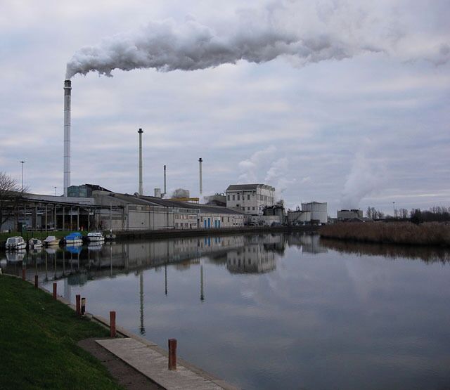 Cantley Sugar Factory Run by British Sugar. This was the first beet sugar factory in the UK when it was built in 1912. It processes 1.3 million tonnes of beet each year, from over 900 growers. It produces its own electricity, up to 13Mw. See http://www.britishsugar.co.uk/RVE5e8994f9da8749f184c442ad00ab89bc,,.aspx