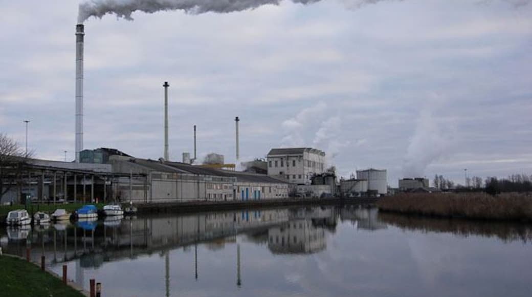 Cantley Sugar Factory Run by British Sugar. This was the first beet sugar factory in the UK when it was built in 1912. It processes 1.3 million tonnes of beet each year, from over 900 growers. It produces its own electricity, up to 13Mw. See http://www.britishsugar.co.uk/RVE5e8994f9da8749f184c442ad00ab89bc,,.aspx