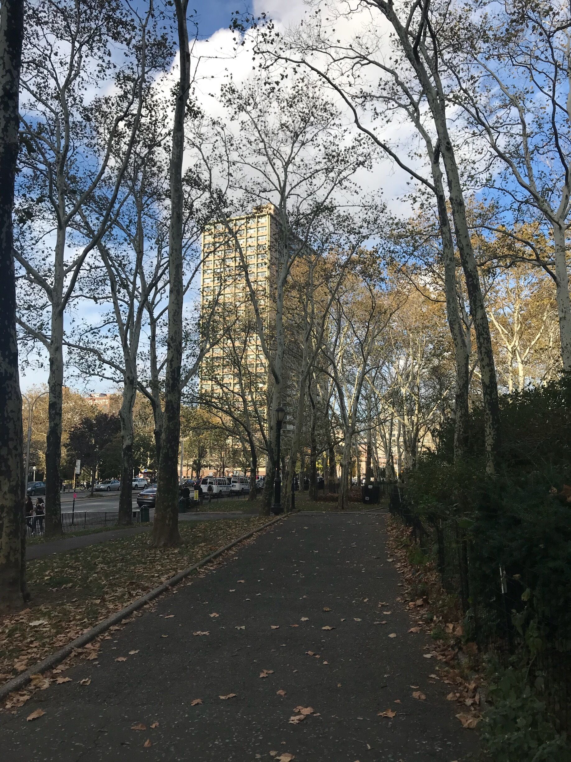 Fall in Brooklyn