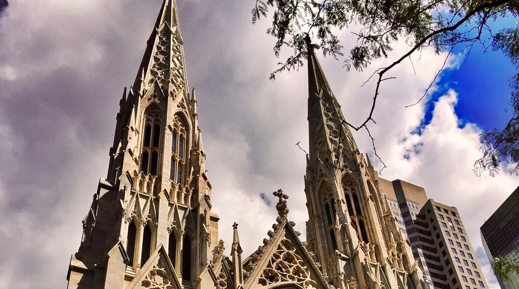 St Patrick's cathedral. Don't just walk by, make sure to go inside!