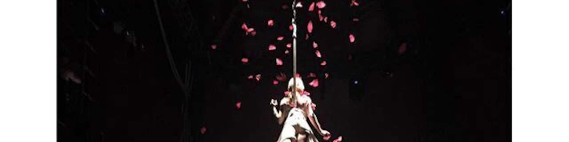 A stunning moment during the immersive performance of Bianco presented by No Fit State Circus under the Brooklyn Bridge.