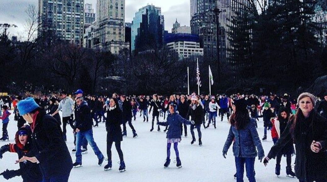 We decided to participate in this New York holiday tradition and boy did it not disappoint! ⛸⛸ #WATravels