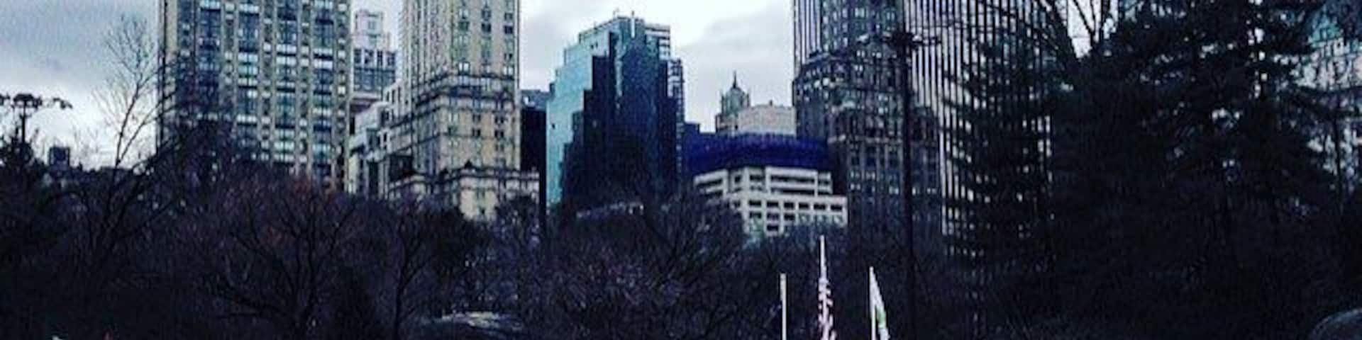 We decided to participate in this New York holiday tradition and boy did it not disappoint! ⛸⛸ #WATravels