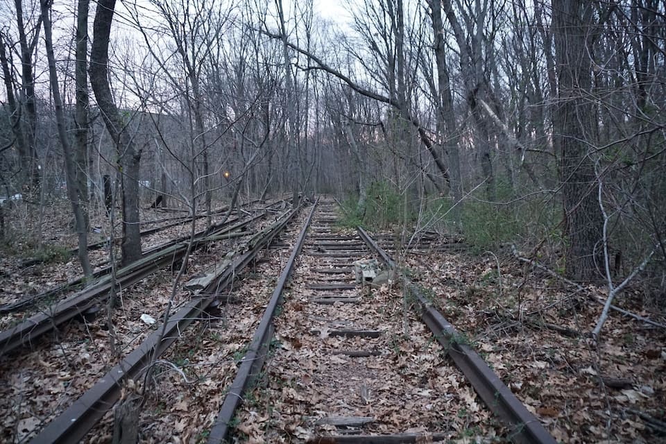 A forest with railway tracks surrounded by leaf-covered ground and bare trees.