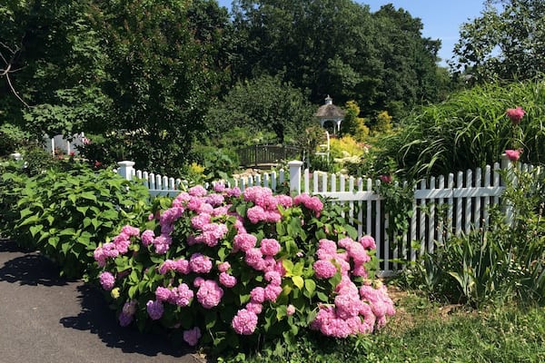 From outside the Wedding Garden. Not pictured: an actual wedding taking place to the right of the frame. 😃