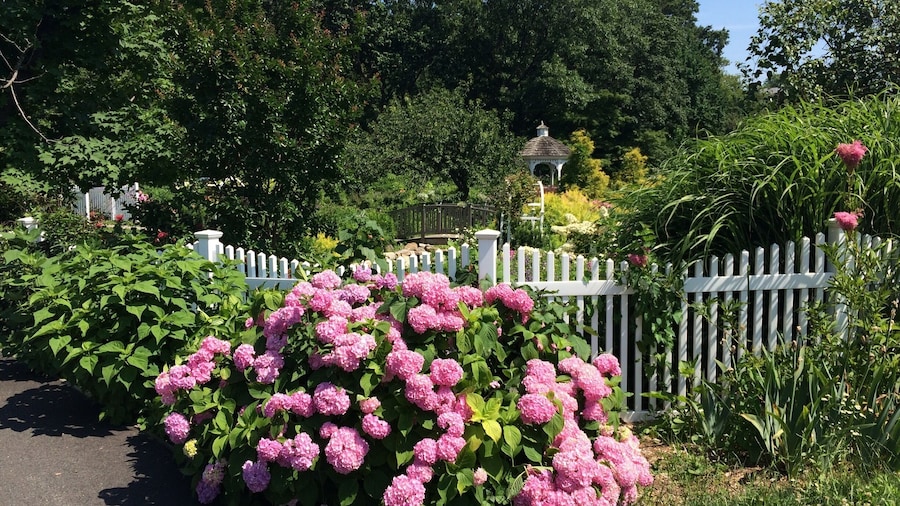 From outside the Wedding Garden. Not pictured: an actual wedding taking place to the right of the frame. 😃
