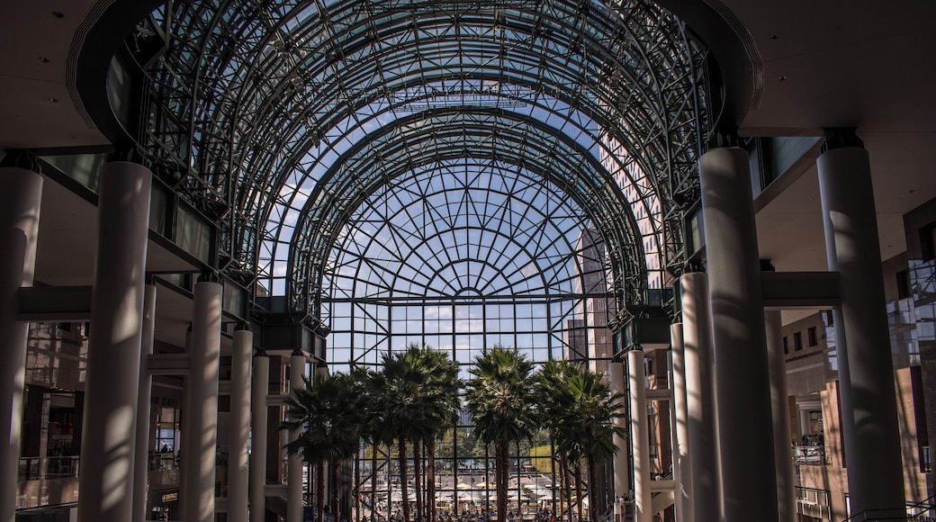 It's a really cool structure part of the ceiling is made of glass.