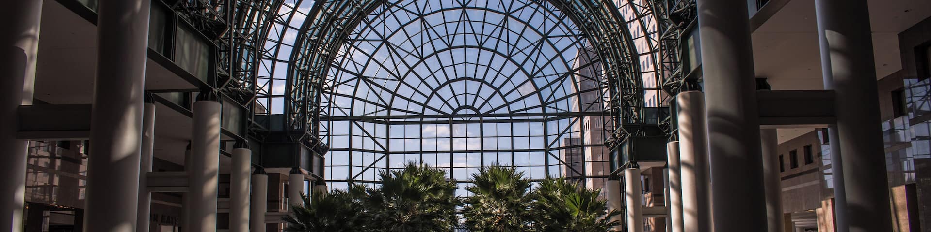It's a really cool structure part of the ceiling is made of glass.