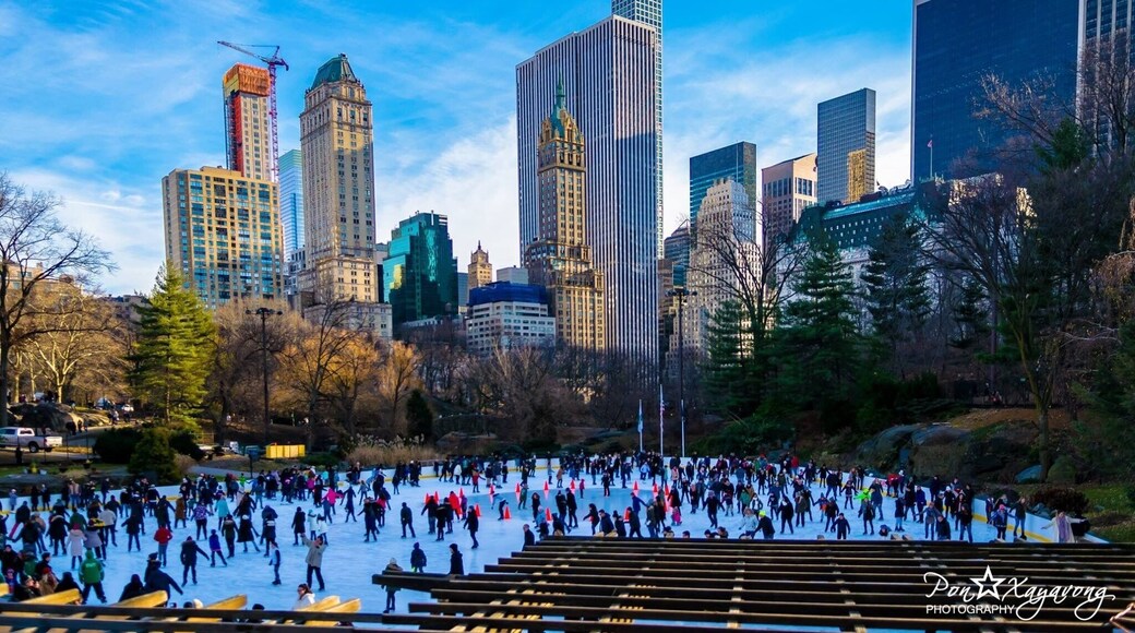 Skating park in Central Park New York