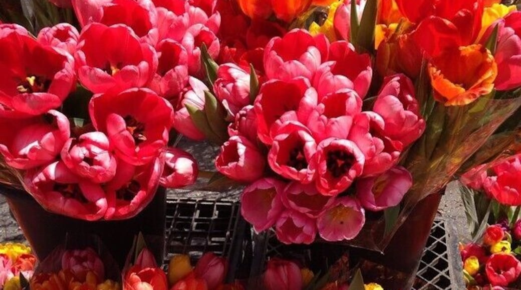 Fresh flowers ... Because it's Friday 💕💐#sunshine #skylines #instagood #instatravel #nyc #unionsquare #flowers #tulips
www.SunshineandSkylines.com