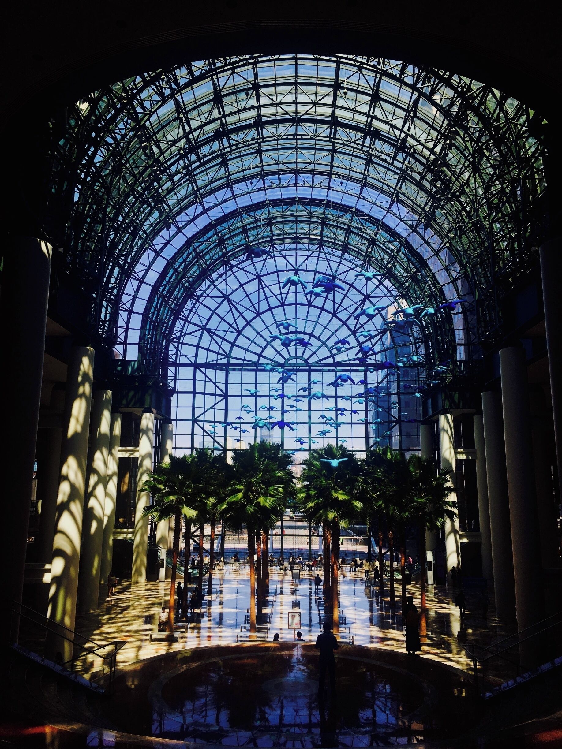 like in a bubble
#UrbanJungle