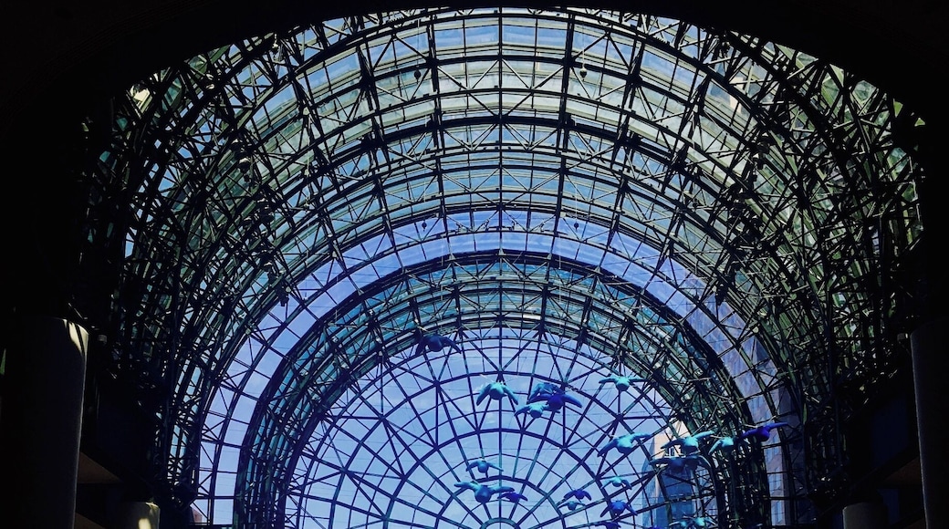 like in a bubble
#UrbanJungle