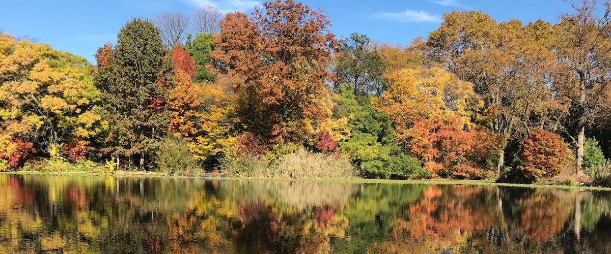 Prospect Park-Brooklyn! ❤️